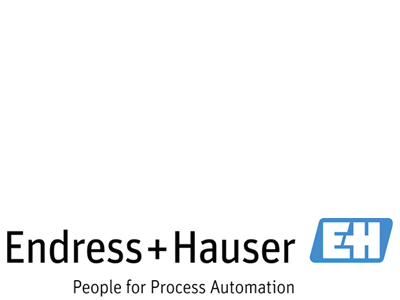 Endress+Hauser (E+H)